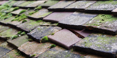 Pen Twyn roof repair costs